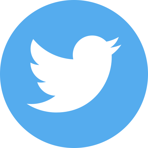 Twitter Icon