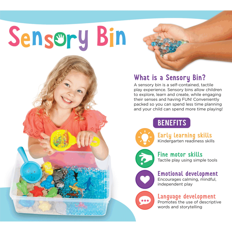 Sensory Bin Introduction