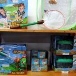 Image of Outdoor and Nature Activities